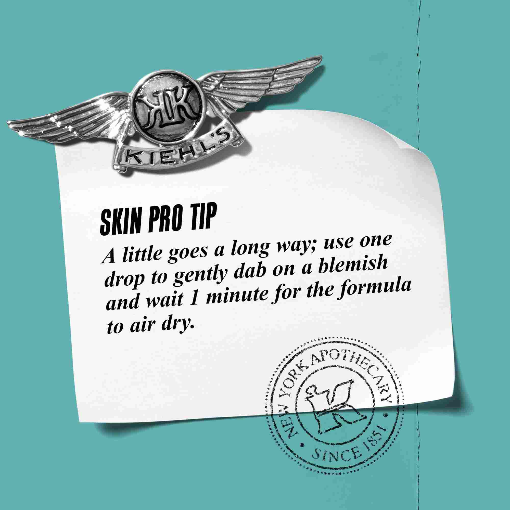 A graphic with text reading "Skin Pro Tip: A little goes a long way: use one drop to gently dab on a blemish and wait 1 minute for the formula to dry."