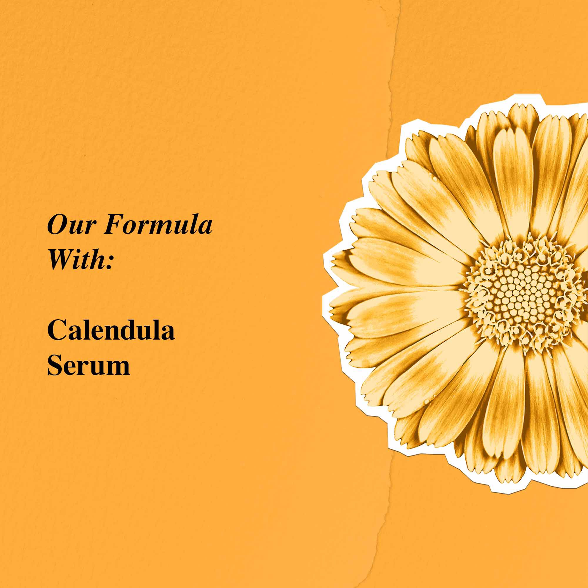 Calendula Serum-Infused Water Cream - Yağlı Hassas Ciltler İcin Hafif Yapıda Yatıştırıcı Nemlendirici