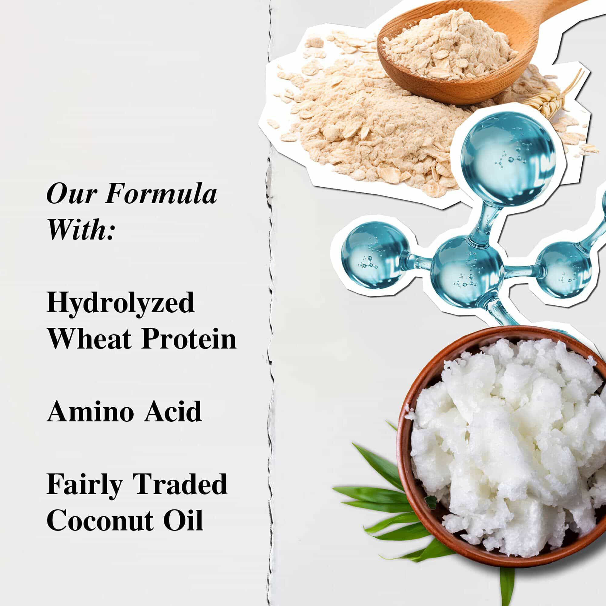 Kiehl's Amino Acid Shampoo Ingredients - Hydrolyzed Wheat Protein, Amino Acid, Fairly Traded Coconut Oil