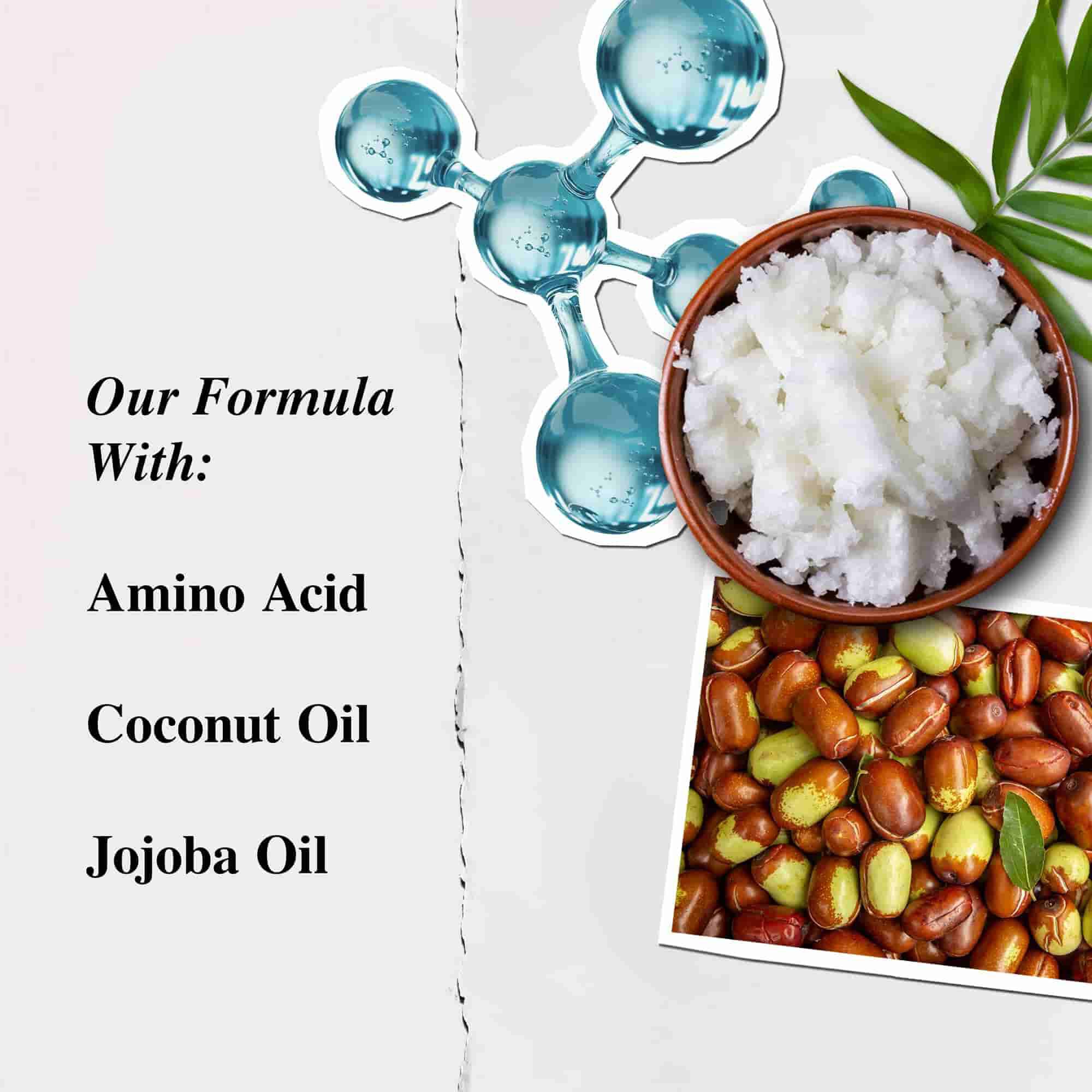 Kiehl's Amino Acid Conditioner ingredient illustration - Amino Acid, Coconut Oil, Jojoba Oil