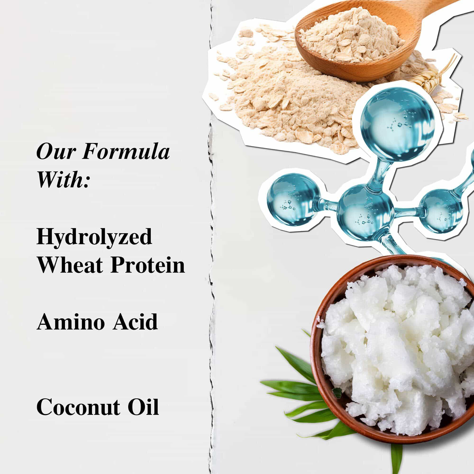 Kiehl's Amino Acid Shampoo Ingredients - Hydrolyzed Wheat Protein, Amino Acid, Fairly Traded Coconut Oil